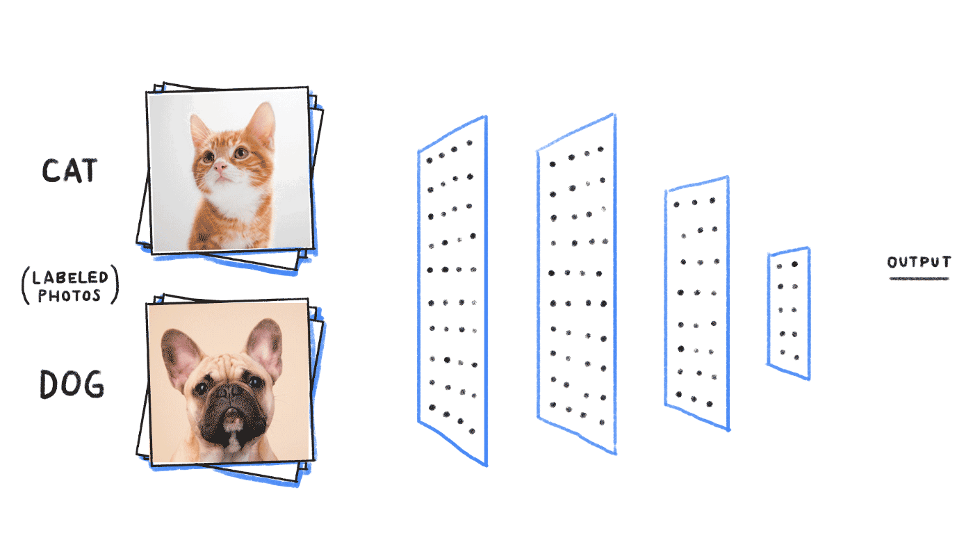 perros y gatos
